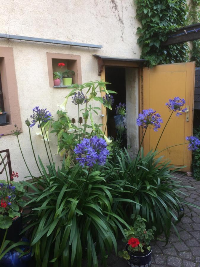 Otterbau Apartment Belgern-Schildau Exterior photo